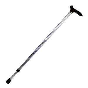 Silver metal cane with wooden handle TESSY model T06